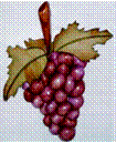 Img16-grapes