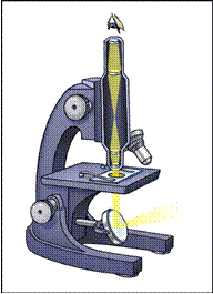 microscope2