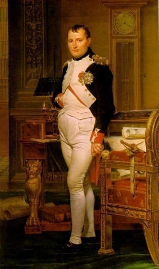 napoleon-study